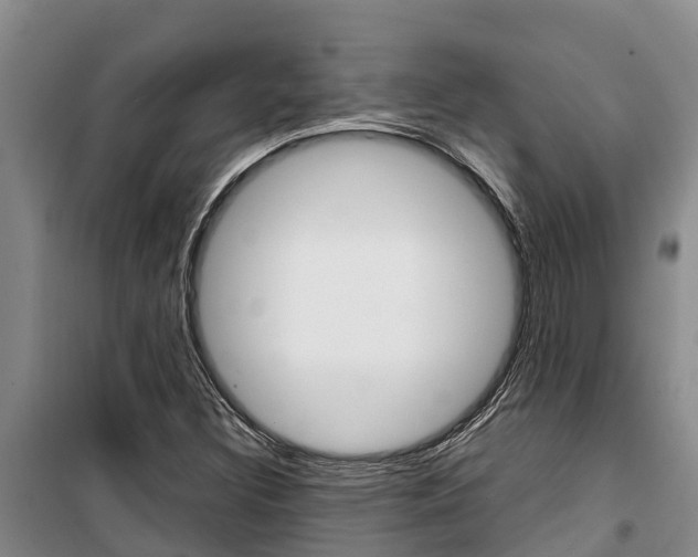 X0000100361308200806060814