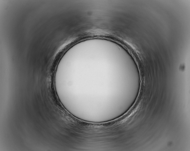 X0000100361309200806060814