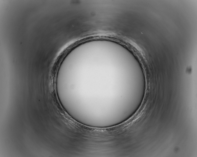 X0000100361310200806060814