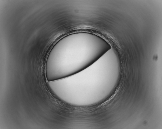X0000100361313200806060814