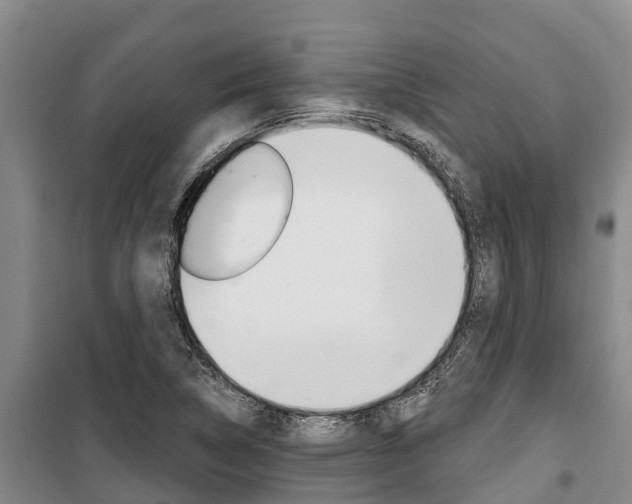 X0000100361314200806060814