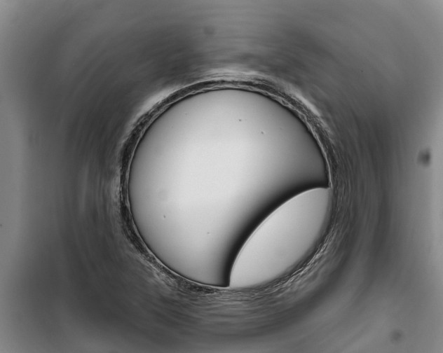X0000100361315200806060814