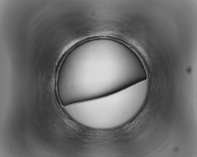 X0000100361316200806060814