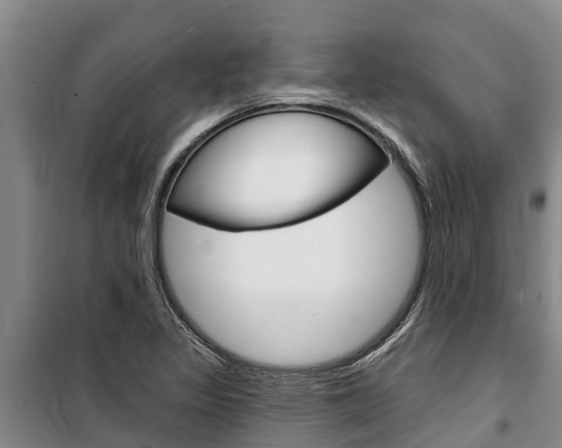 X0000100361317200806060814