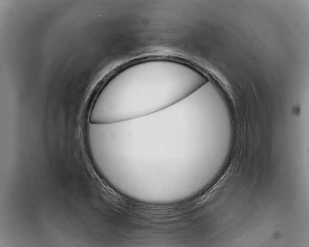 X0000100361318200806060814