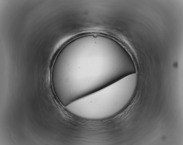 X0000100361320200806060814