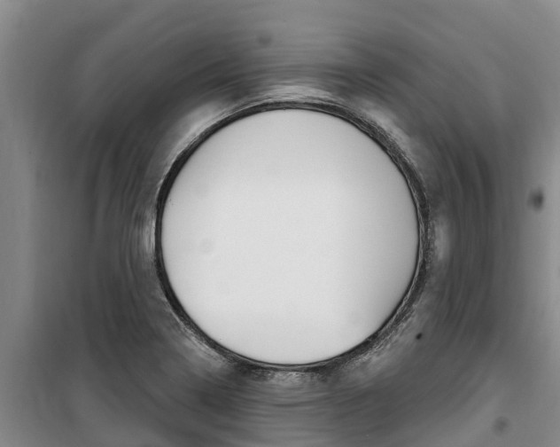 X0000100361322200806060814