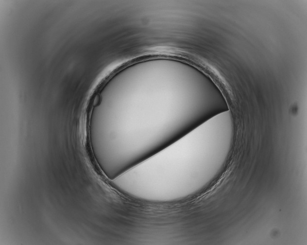 X0000100361323200806060814