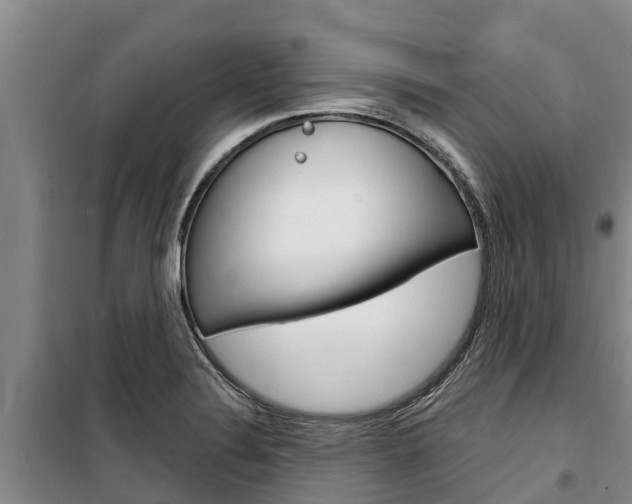 X0000100361324200806060814