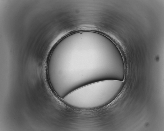 X0000100361325200806060814
