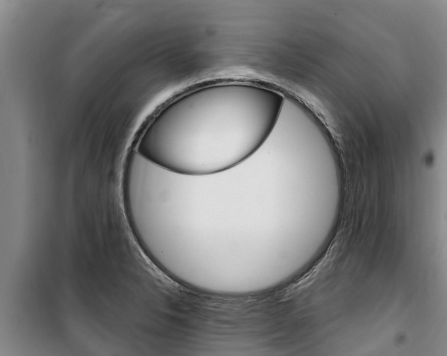 X0000100361326200806060814