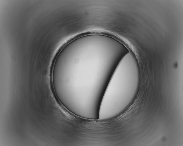 X0000100361327200806060814