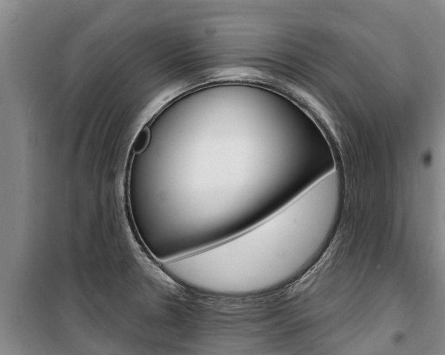 X0000100361330200806060814