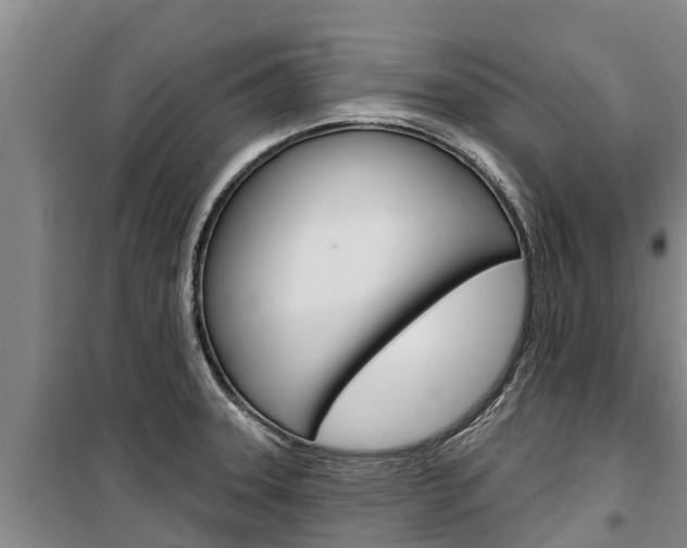 X0000100361331200806060814