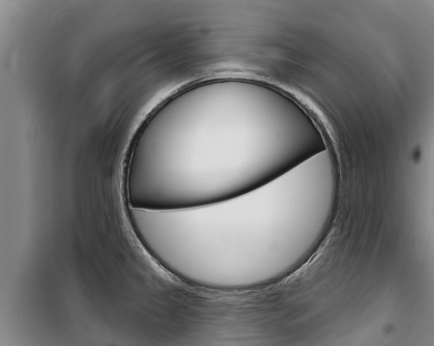 X0000100361333200806060814