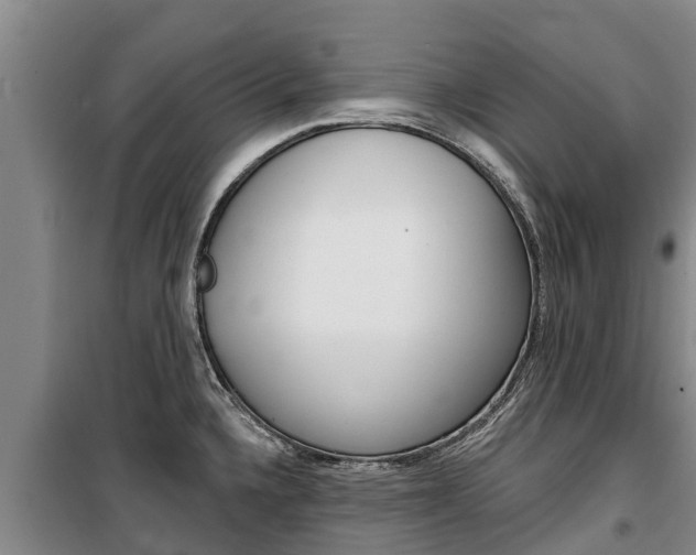 X0000100361336200806060814