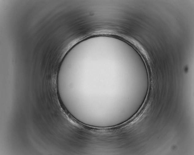 X0000100361337200806060814