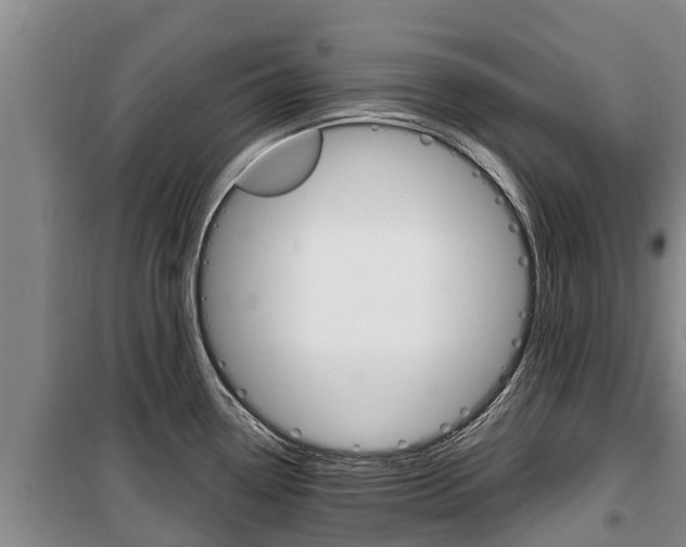 X0000100361338200806060814