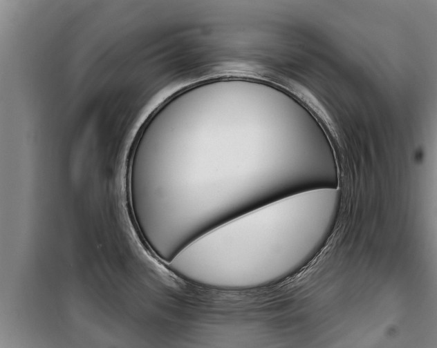 X0000100361339200806060814