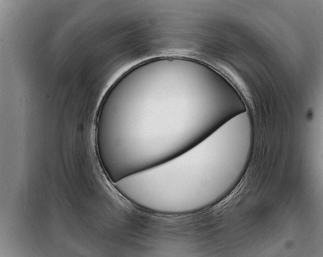 X0000100361340200806060814