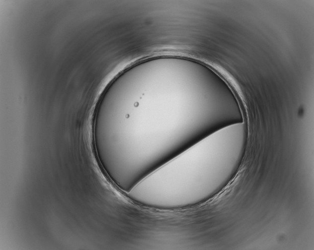X0000100361341200806060814