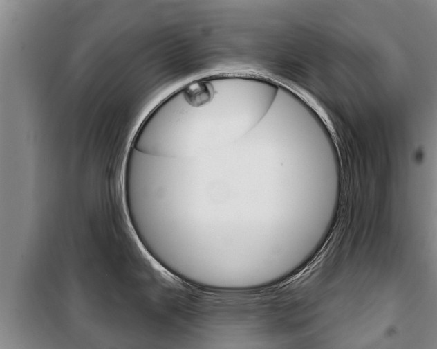 X0000100361343200806060814