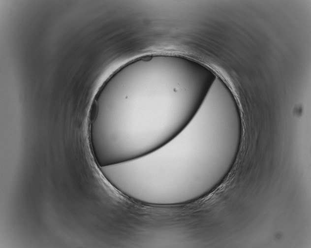 X0000100361344200806060814
