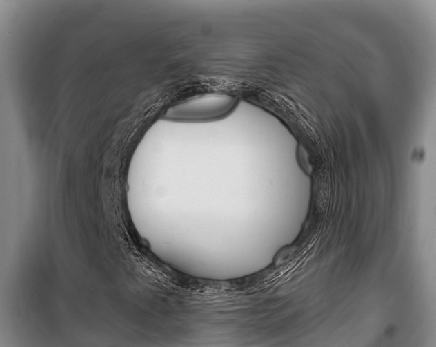 X0000100361345200806060814