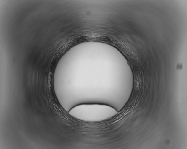 X0000100361346200806060814