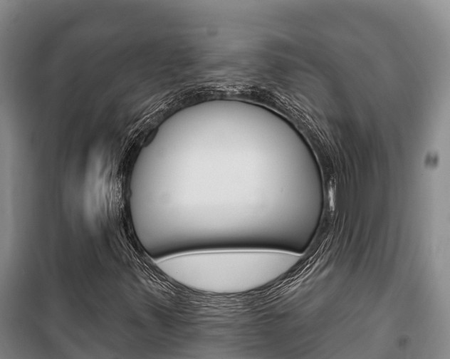 X0000100361347200806060813