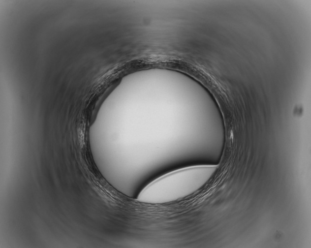X0000100361348200806060813