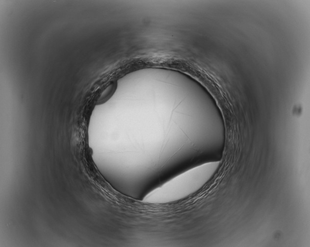 X0000100361349200806060813
