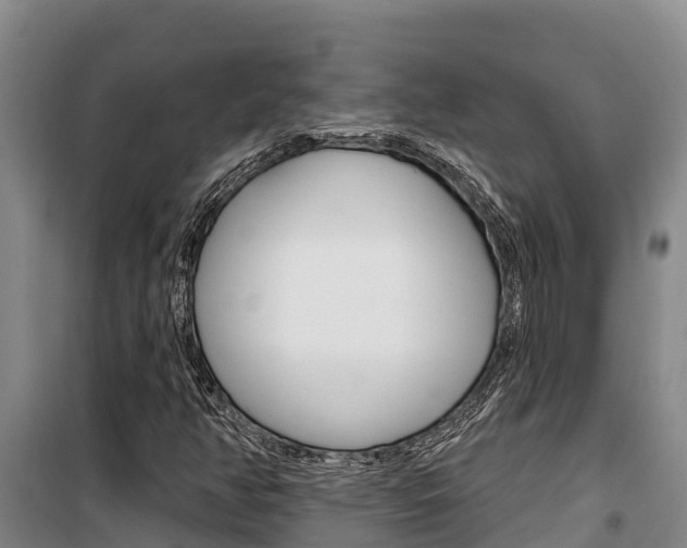 X0000100361350200806060813