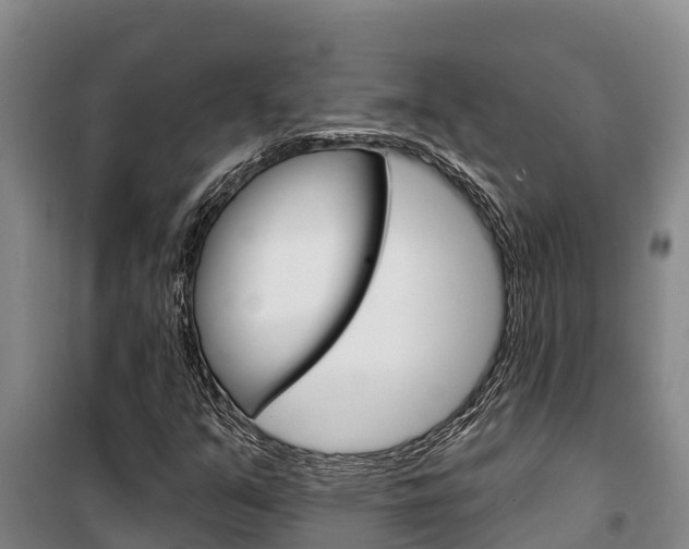X0000100361351200806060813