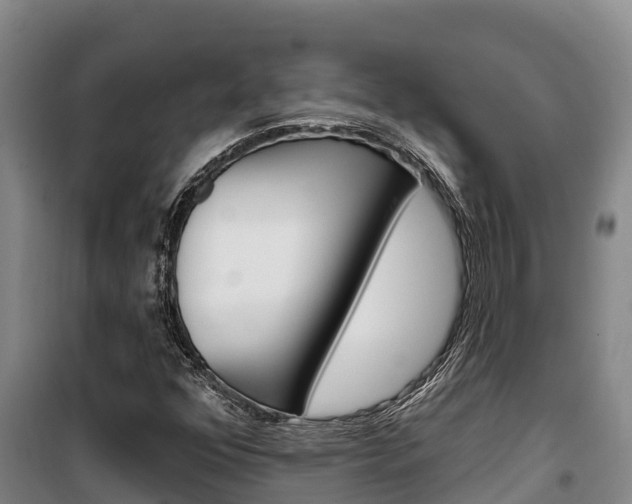 X0000100361352200806060813