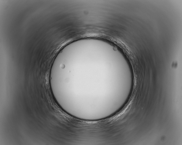 X0000100361353200806060813