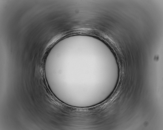 X0000100361354200806060813