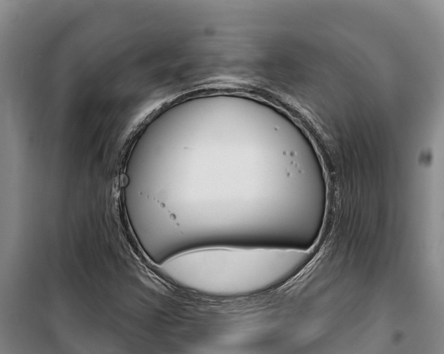 X0000100361355200806060813