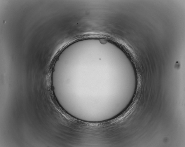 X0000100361357200806060813