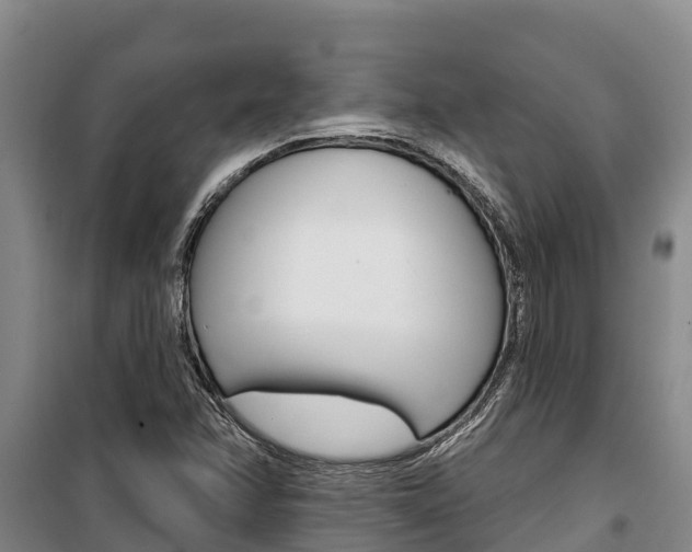 X0000100361358200806060813