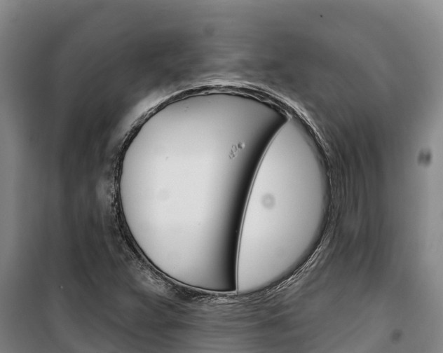 X0000100361359200806060813