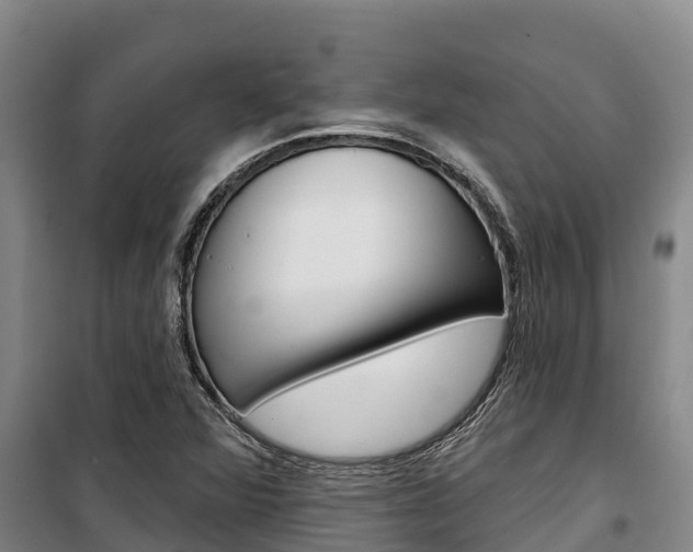 X0000100361360200806060813