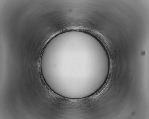 X0000100361361200806060813