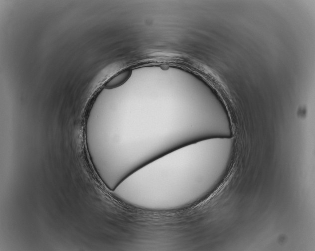 X0000100361362200806060813