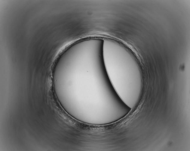 X0000100361363200806060813