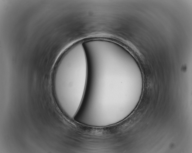 X0000100361364200806060813