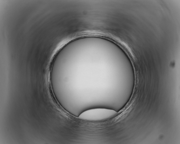 X0000100361365200806060813