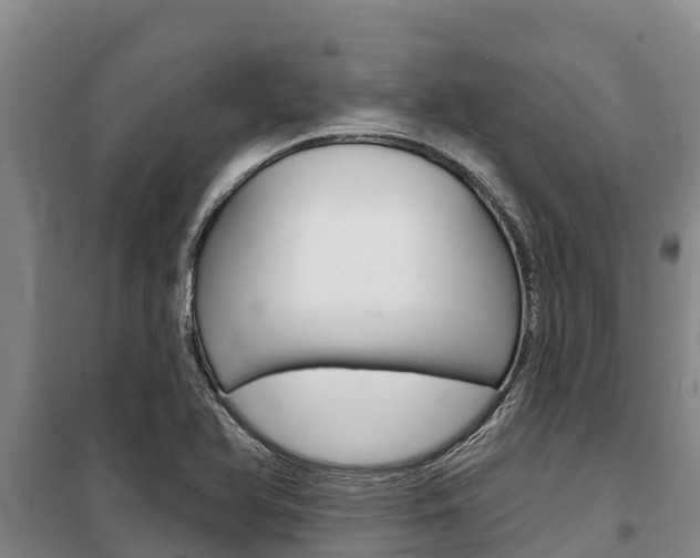 X0000100361366200806060813
