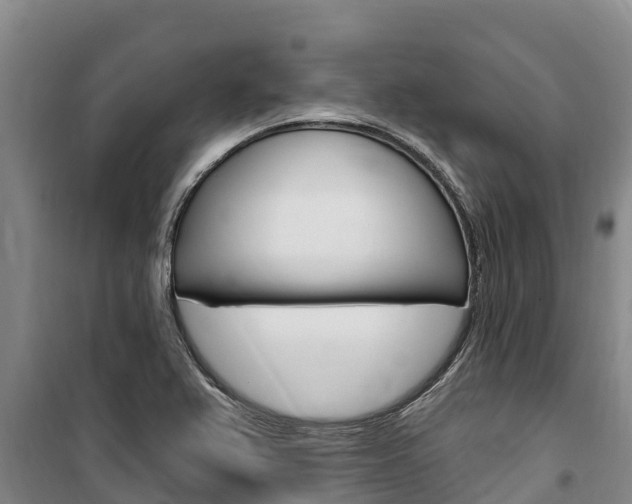 X0000100361367200806060813