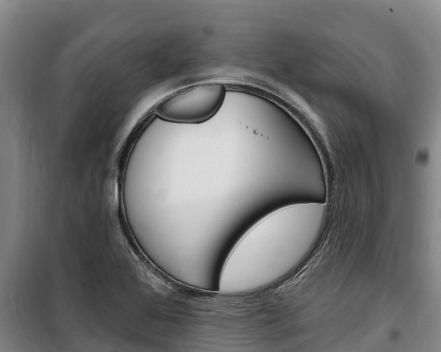 X0000100361368200806060813